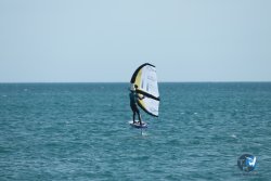 20240218-WIng-Franqui-005.jpg