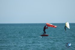 20240218-WIng-Franqui-010.jpg