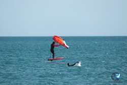 20240218-WIng-Franqui-011.jpg