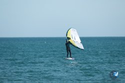 20240218-WIng-Franqui-013.jpg