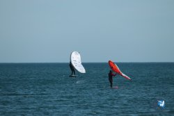 20240218-WIng-Franqui-018.jpg