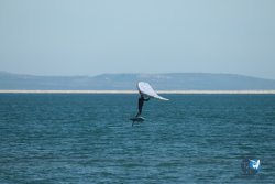 20240218-WIng-Franqui-022.jpg