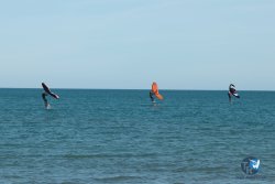 20240218-WIng-Franqui-024.jpg