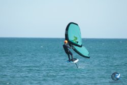 20240218-WIng-Franqui-027.jpg