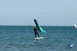 20240218-WIng-Franqui-032.jpg