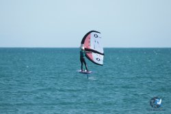 20240218-WIng-Franqui-036.jpg