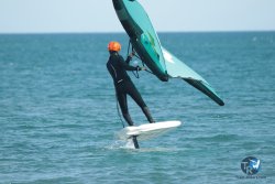 20240218-WIng-Franqui-038.jpg