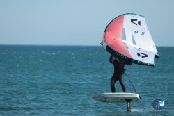 20240218-WIng-Franqui-049.jpg