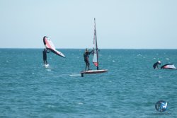 20240218-WIng-Franqui-052.jpg