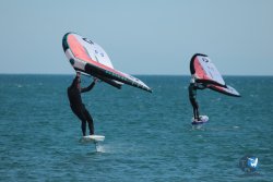 20240218-WIng-Franqui-062.jpg