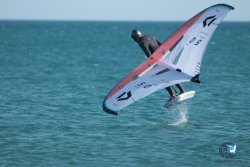 20240218-WIng-Franqui-067.jpg