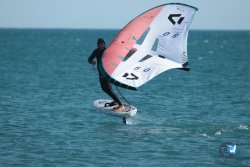 20240218-WIng-Franqui-068.jpg