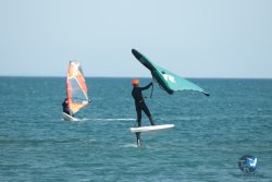 20240218-WIng-Franqui-106.jpg