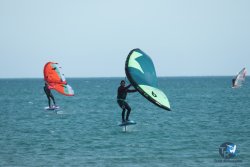 20240218-WIng-Franqui-108.jpg