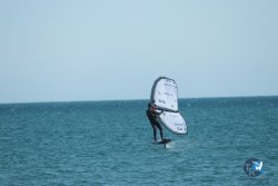 20240218-WIng-Franqui-110.jpg