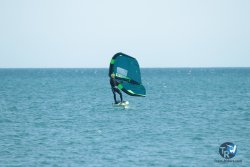 20240218-WIng-Franqui-113.jpg