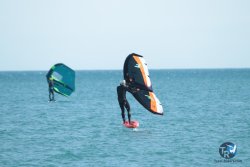20240218-WIng-Franqui-117.jpg