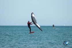 20240218-WIng-Franqui-121.jpg