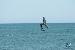 20240218-WIng-Franqui-142.jpg