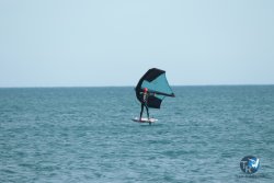 20240218-WIng-Franqui-154.jpg