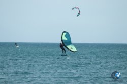 20240218-WIng-Franqui-159.jpg