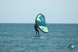 20240218-WIng-Franqui-168.jpg
