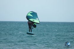 20240218-WIng-Franqui-172.jpg