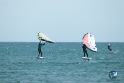 20240218-WIng-Franqui-183.jpg