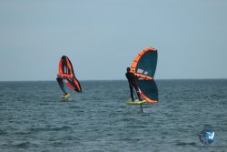 20240218-WIng-Franqui-218.jpg