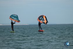 20240218-WIng-Franqui-225.jpg