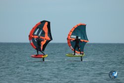 20240218-WIng-Franqui-240.jpg