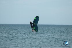 20240218-WIng-Franqui-244.jpg