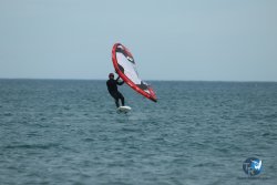 20240218-WIng-Franqui-257.jpg