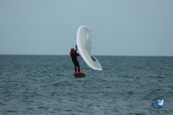 20240218-WIng-Franqui-265.jpg