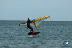 20240218-WIng-Franqui-293.jpg