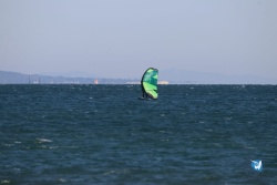 20220122-Franqui-wing-001.JPG