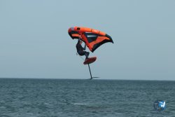 20240218-WIng-Franqui-311.jpg
