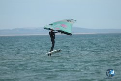 20240218-WIng-Franqui-315.jpg