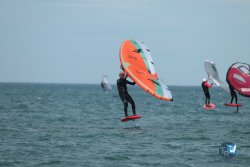 20240218-WIng-Franqui-316.jpg