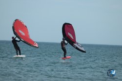 20240218-WIng-Franqui-321.jpg