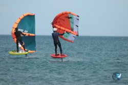 20240218-WIng-Franqui-328.jpg