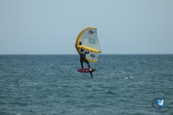 20240218-WIng-Franqui-329.jpg