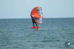 20240218-WIng-Franqui-331.jpg