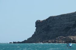 20240301-franqui-013.jpg