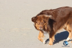 20220122-Franqui-wing-029.JPG