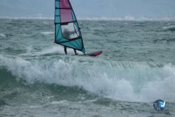 20240329-Roses-Sud-004.jpg