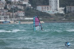 20240329-Roses-Sud-032.jpg