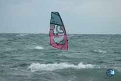 20240329-Roses-Sud-052.jpg