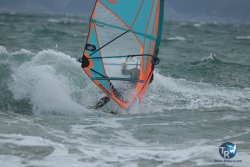 20240329-Roses-Sud-068.jpg