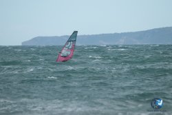 20240329-Roses-Sud-103.jpg